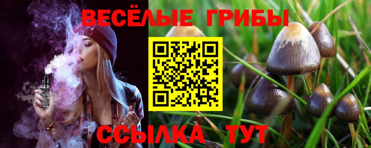 Псилоцибиновые грибы Psilocybe  Вход с VPN  Петропавловск-Камчатский 